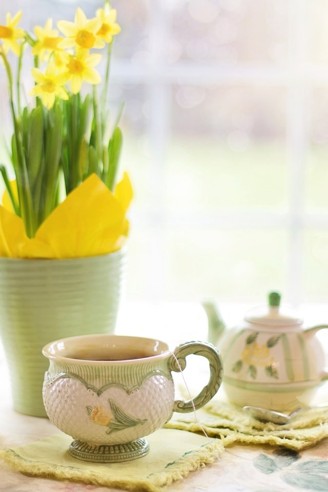 Обои цветы, напиток, кружка, чай, чайник, нарциссы, flowers, drink, mug, tea, kettle, daffodils разрешение 3840x2400 Загрузить