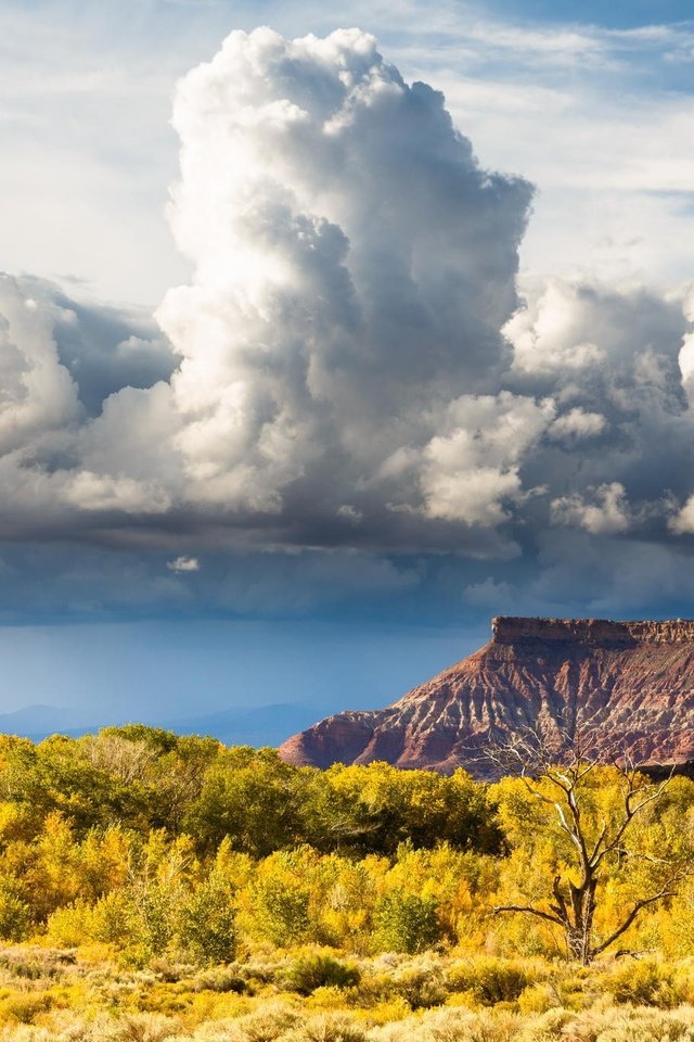 Обои небо, холм, облака, долина, природа, zion national park, горный хребет, пейзаж, поле, горизонт, луг, пастбище, the sky, hill, clouds, valley, nature, mountain range, landscape, field, horizon, meadow, pasture разрешение 2048x1365 Загрузить