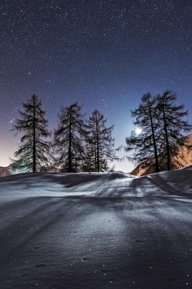 Обои небо, звезды, ночь, луна, деревья, горы, снег, природа, лес, зима, the sky, stars, night, the moon, trees, mountains, snow, nature, forest, winter разрешение 2048x1365 Загрузить