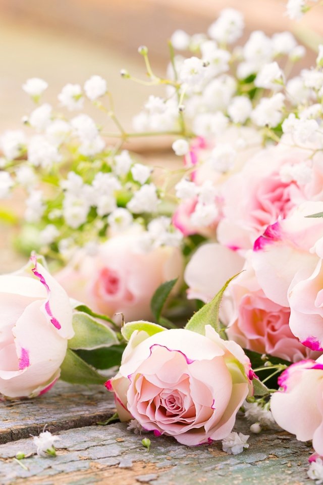 Обои цветы, бутоны, розы, лепестки, букет, гипсофила, красивый букет, flowers, buds, roses, petals, bouquet, gypsophila, beautiful bouquet разрешение 2880x1800 Загрузить