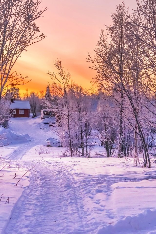 Обои дорога, деревья, снег, закат, зима, пейзаж, домик, красива, road, trees, snow, sunset, winter, landscape, house, beautiful разрешение 2048x1389 Загрузить