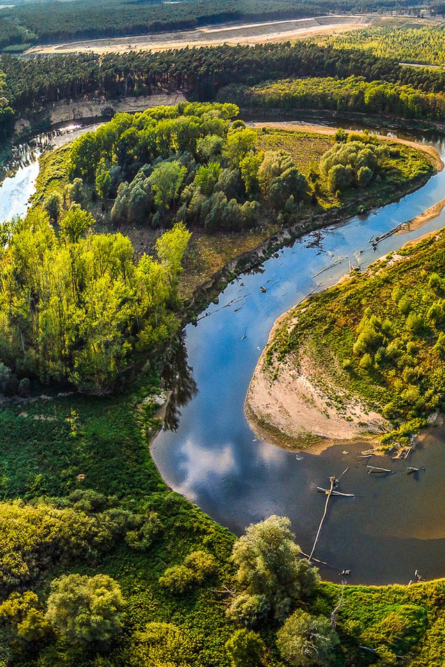 Обои деревья, леса, чехия, река, morava, солнце, straznice, зелень, лес, поля, лето, панорама, trees, czech republic, river, the sun, greens, forest, field, summer, panorama разрешение 2500x1188 Загрузить