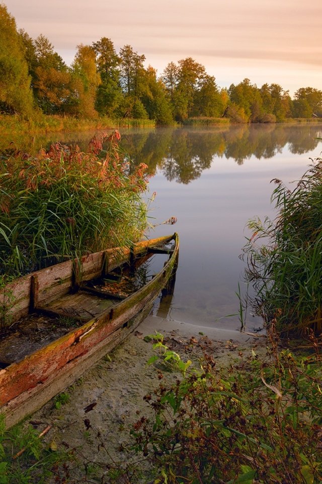 Обои деревья, озеро, растения, лес, лодка, камыши, nikonzoom, trees, lake, plants, forest, boat, the reeds разрешение 2560x1627 Загрузить