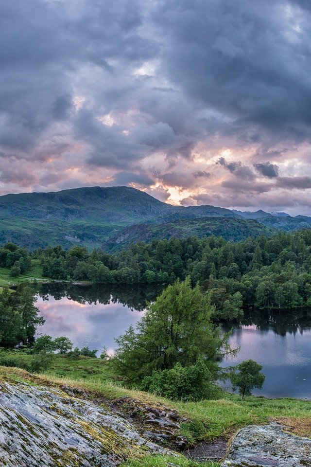 Обои озеро, tarn hows, горы, лес, панорама, англия, камень, озёрный край, lake district national park, камбрия, cumbria, lake, mountains, forest, panorama, england, stone, the lake district разрешение 2048x1152 Загрузить