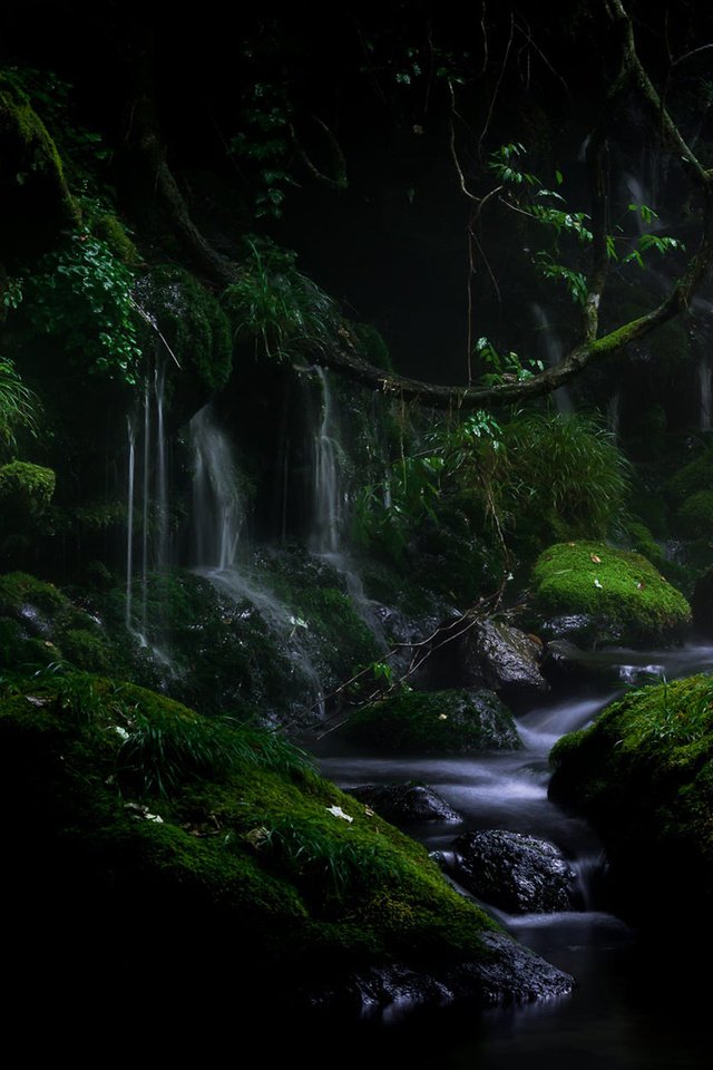 Обои вода, akihiro shibata, природа, камни, растения, листья, пейзаж, водопад, мох, water, nature, stones, plants, leaves, landscape, waterfall, moss разрешение 1920x1200 Загрузить