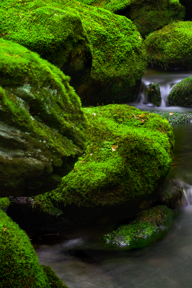 Обои вода, cassie guilani, природа, камни, ручей, водопад, поток, мох, течение, коннектикут, connecticut, water, nature, stones, stream, waterfall, moss, for разрешение 1920x1200 Загрузить