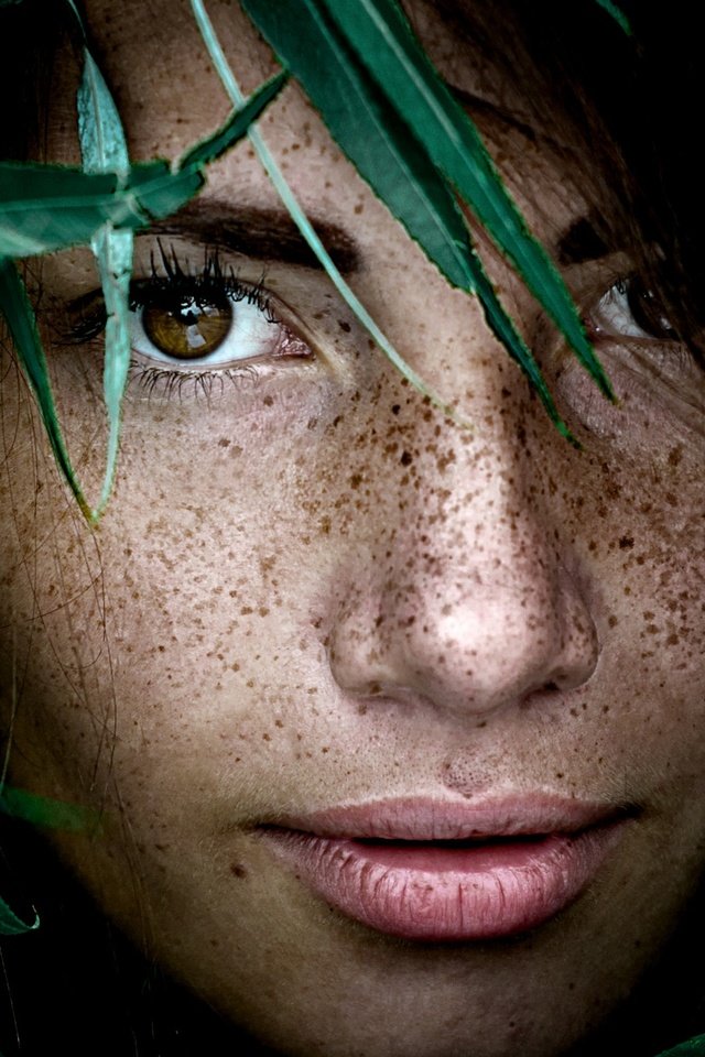 Обои листья, девушка, портрет, лицо, веснушки, алина, alina batrak, yuri leo, leaves, girl, portrait, face, freckles, alina разрешение 2048x1372 Загрузить