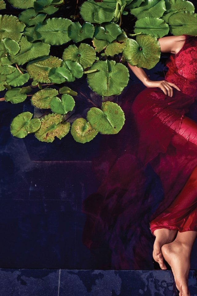 Обои вода, листья, девушка, модель, красное платье, лежа, janina malinauskiene, water, leaves, girl, model, red dress, lying разрешение 2590x1625 Загрузить