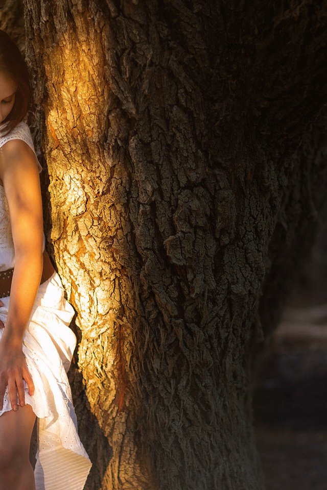 Обои дерево, девушка, поза, белое платье, декольте, солнечный свет, tree, girl, pose, white dress, neckline, sunlight разрешение 2000x1125 Загрузить