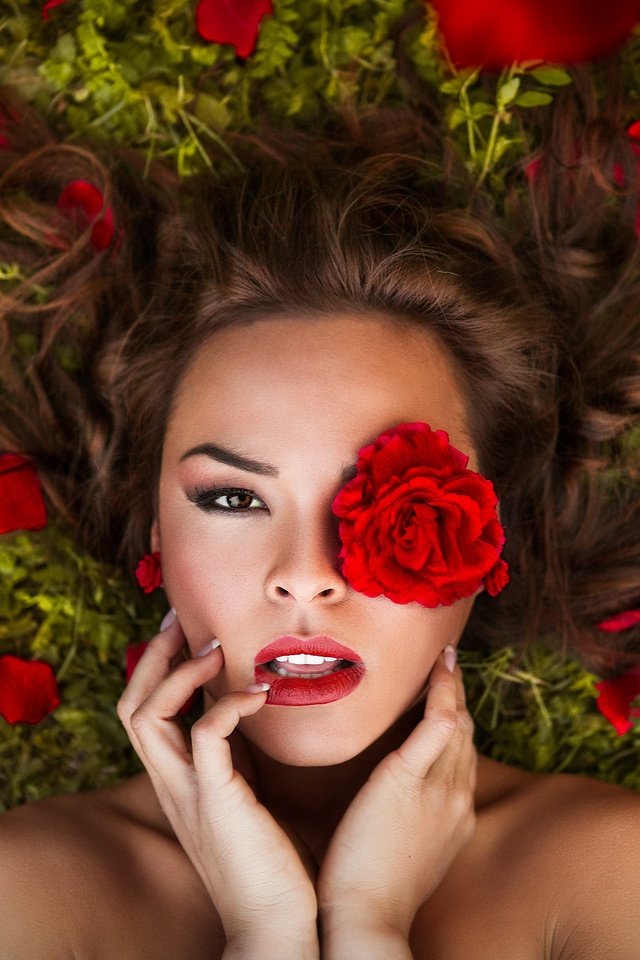 Обои девушка, макияж, цветок, роза, лепестки, взгляд, волосы, лицо, руки, girl, makeup, flower, rose, petals, look, hair, face, hands разрешение 5293x3528 Загрузить