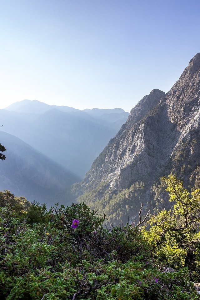 Обои небо, горы, растения, ущелье, греция, национальный парк, the sky, mountains, plants, gorge, greece, national park разрешение 2560x1440 Загрузить