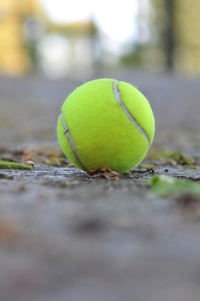 Обои макро, мяч, теннис, теннисный мяч, macro, the ball, tennis, tennis ball разрешение 2880x1800 Загрузить