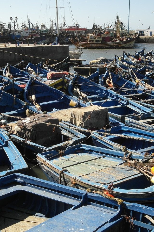 Обои берег, лодки, пристань, порт, марокко, рыболовное судно, эссаурия, shore, boats, marina, port, morocco, fishing vessel, essaouira разрешение 2592x1944 Загрузить