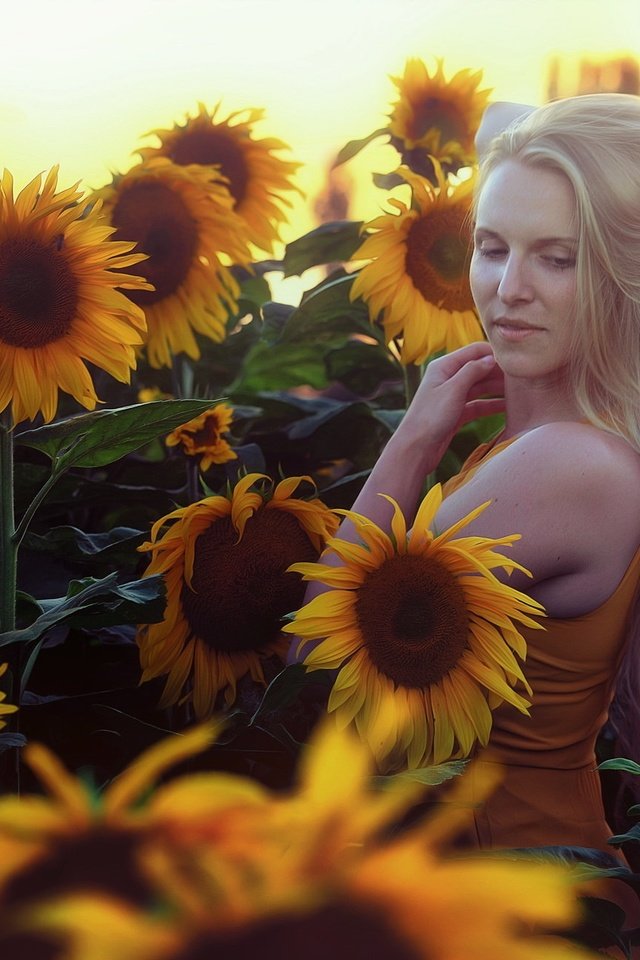 Обои цветы, девушка, блондинка, лето, подсолнухи, flowers, girl, blonde, summer, sunflowers разрешение 2048x1304 Загрузить