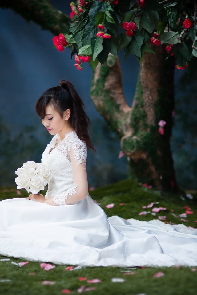 Обои цветы, трава, дерево, девушка, букет, азиатка, белое платье, невеста, flowers, grass, tree, girl, bouquet, asian, white dress, the bride разрешение 2560x1600 Загрузить