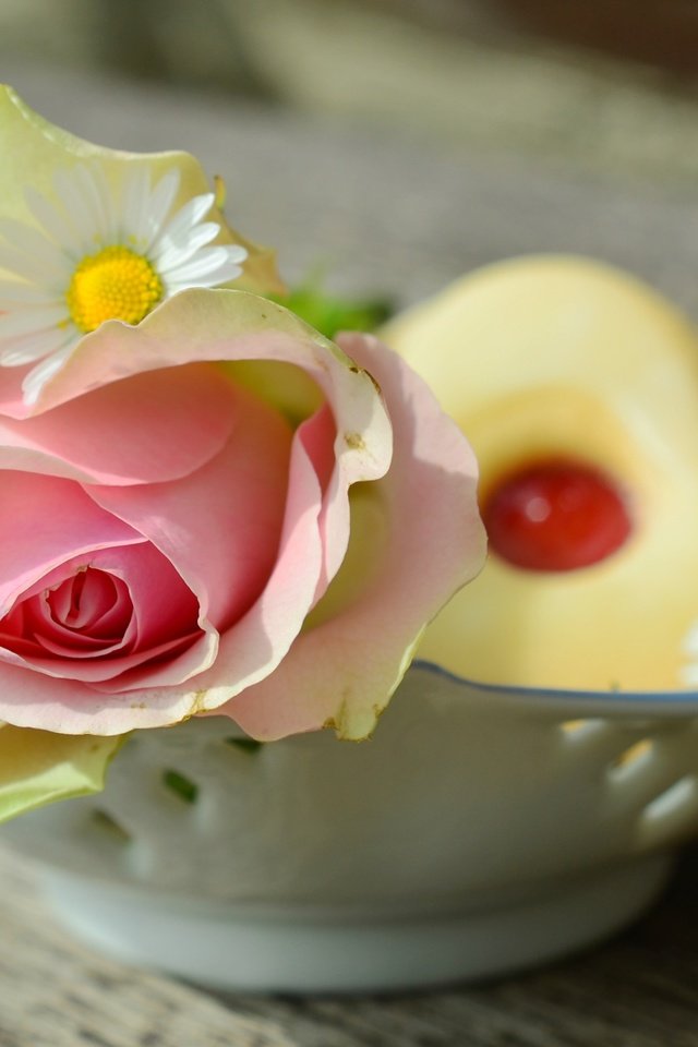 Обои цветы, натюрморт, цветок, роза, ромашки, розовый, ваза, печенье, выпечка, flowers, still life, flower, rose, chamomile, pink, vase, cookies, cakes разрешение 3593x2525 Загрузить