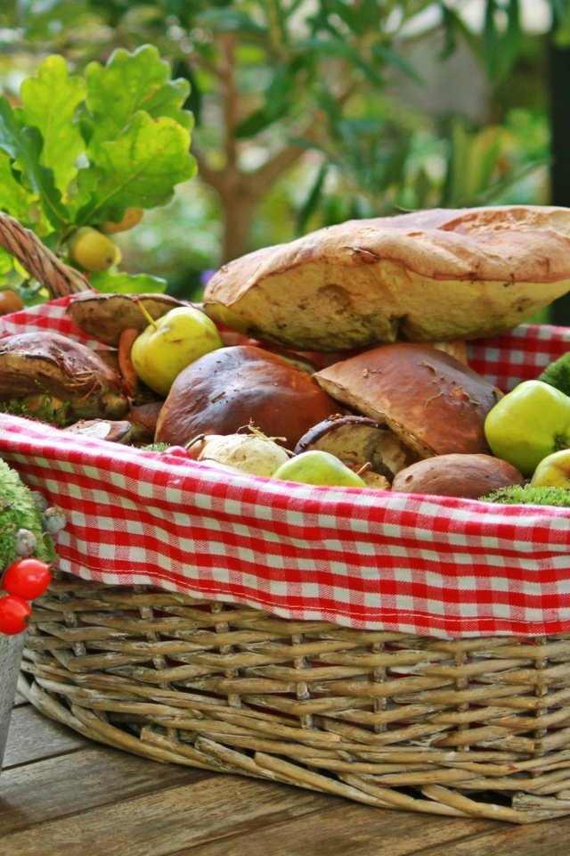 Обои яблоки, грибы, корзинка, боровики, apples, mushrooms, basket разрешение 4000x2276 Загрузить