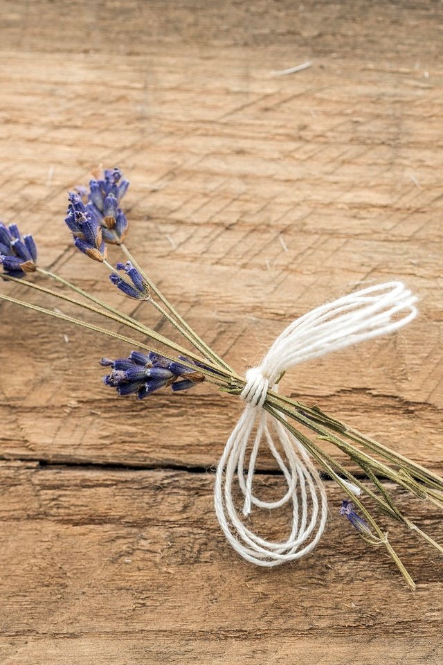 Обои цветы, фон, лаванда, доски, букетик, flowers, background, lavender, board, a bunch разрешение 2048x1260 Загрузить