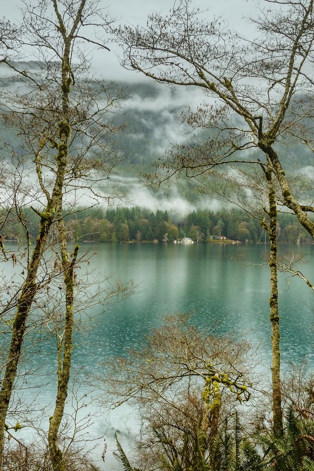 Обои деревья, озеро, лес, туман, сша, olympic national park, lake crescent, национальный парк олимпик, trees, lake, forest, fog, usa разрешение 2200x1425 Загрузить