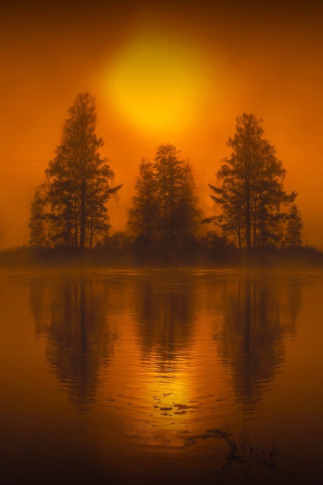 Обои деревья, вода, озеро, закат, отражение, пейзаж, туман, hmetosche, trees, water, lake, sunset, reflection, landscape, fog разрешение 5203x3183 Загрузить