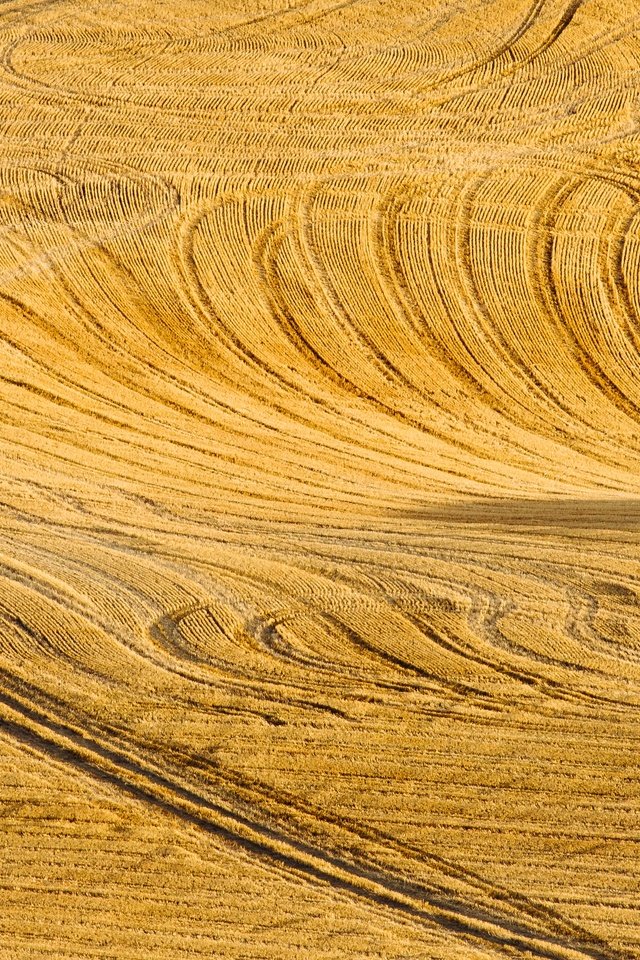 Обои дорога, пейзаж, поле, road, landscape, field разрешение 5459x2730 Загрузить