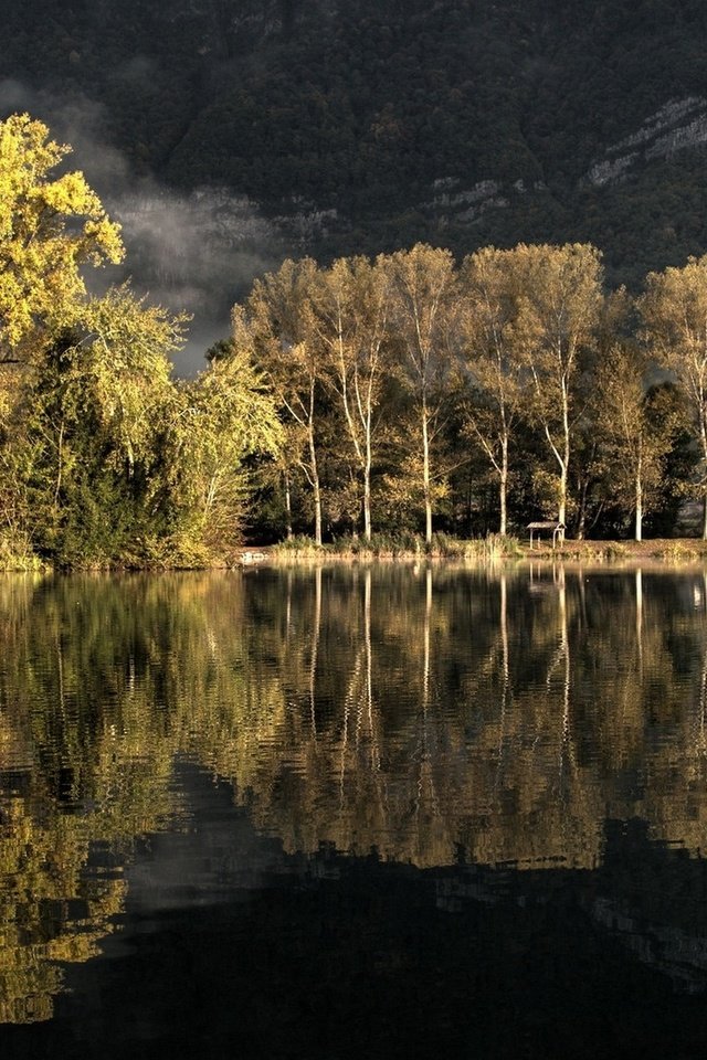 Обои деревья, озеро, природа, лес, отражение, пейзаж, осень, trees, lake, nature, forest, reflection, landscape, autumn разрешение 1920x1280 Загрузить