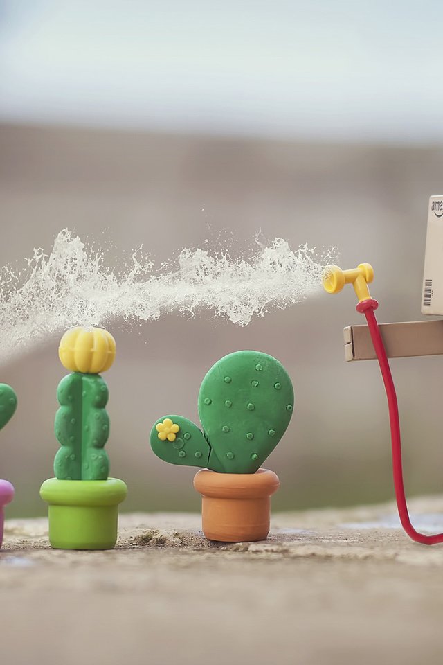 Обои цветы, коробка, кактусы, данбо, картонный робот, flowers, box, cacti, danbo, cardboard robot разрешение 1920x1200 Загрузить