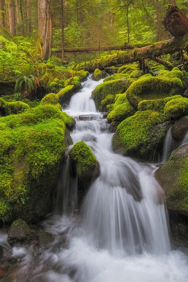 Обои река, природа, камни, водопад, мох, river, nature, stones, waterfall, moss разрешение 1920x1200 Загрузить