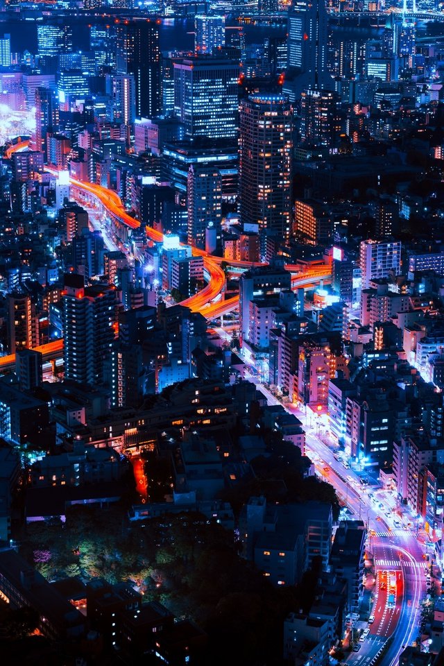 Обои ночь, огни, город, япония, небоскребы, токио, night, lights, the city, japan, skyscrapers, tokyo разрешение 2400x3000 Загрузить