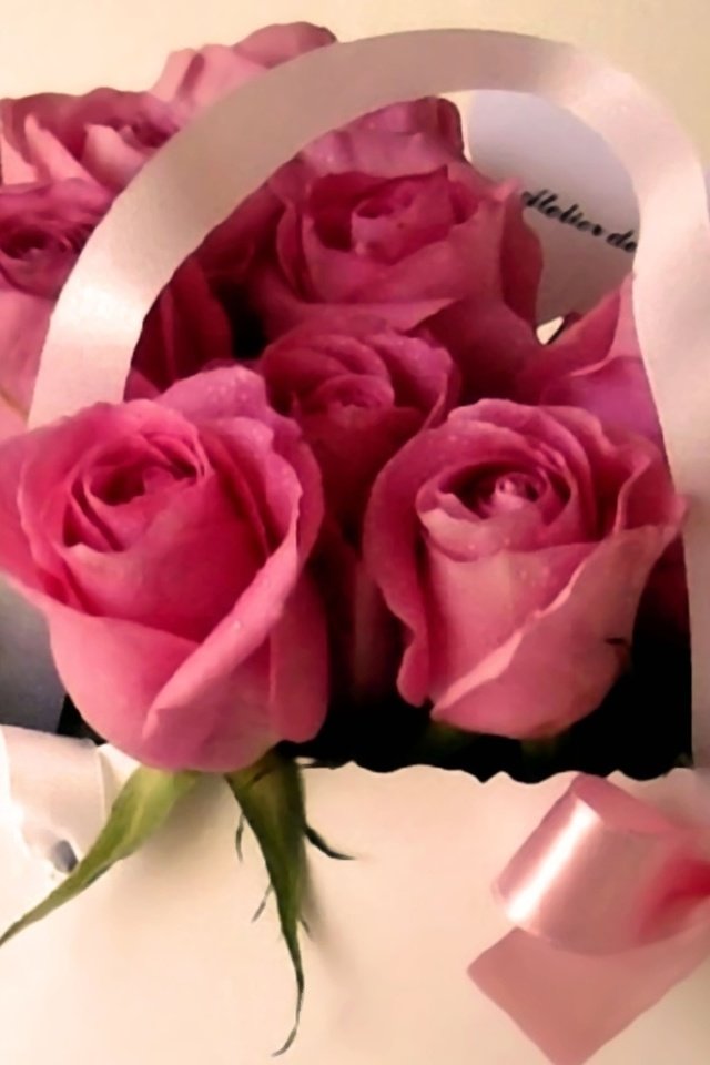 Обои цветы, розы, букет, подарок, flowers, roses, bouquet, gift разрешение 1920x1080 Загрузить