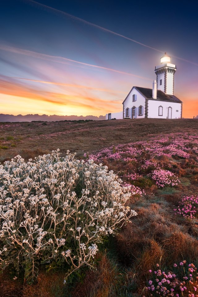 Обои небо, свет, цветы, закат, маяк, побережье, o.d photographies, the sky, light, flowers, sunset, lighthouse, coast разрешение 6016x4016 Загрузить