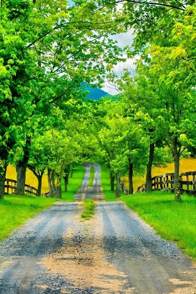 Обои дорога, деревья, горы, зелень, забор, весна, road, trees, mountains, greens, the fence, spring разрешение 3064x2029 Загрузить