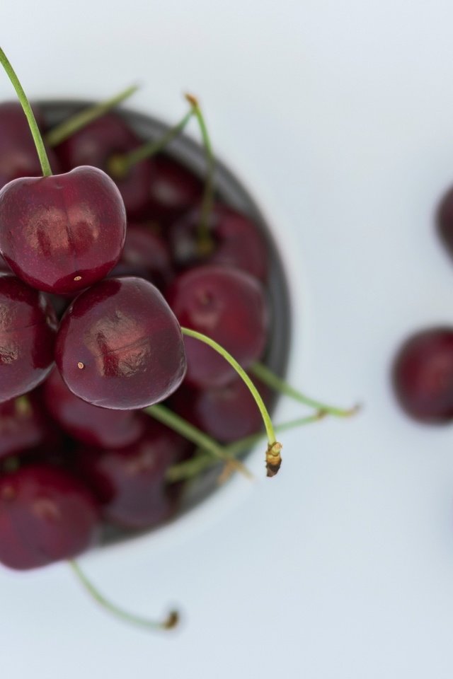 Обои макро, черешня, ягоды, вишня, вишни, macro, cherry, berries разрешение 2048x1419 Загрузить