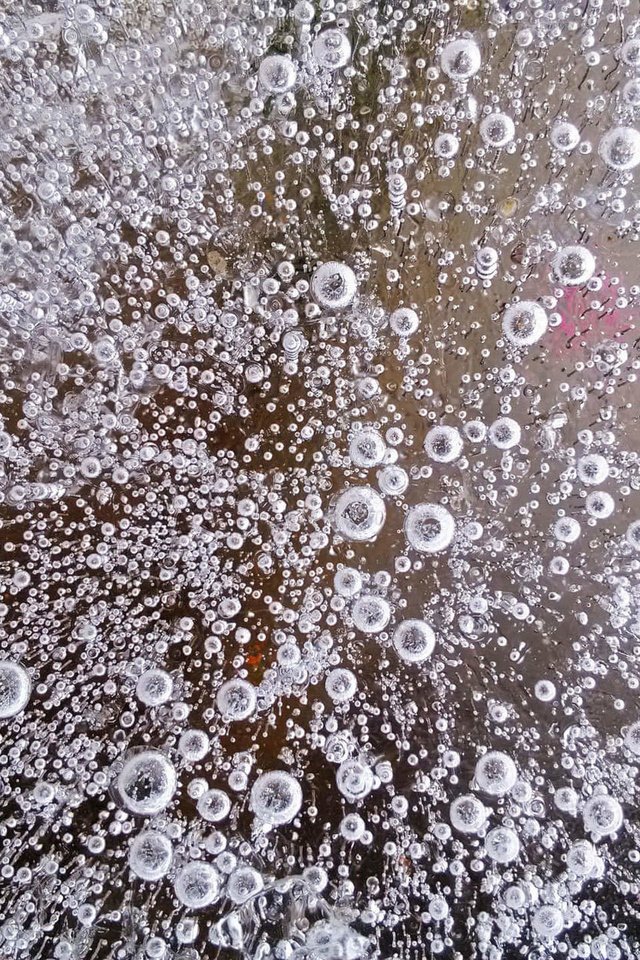 Обои вода, макро, парк, капли, лёд, пузырьки, water, macro, park, drops, ice, bubbles разрешение 1920x1440 Загрузить