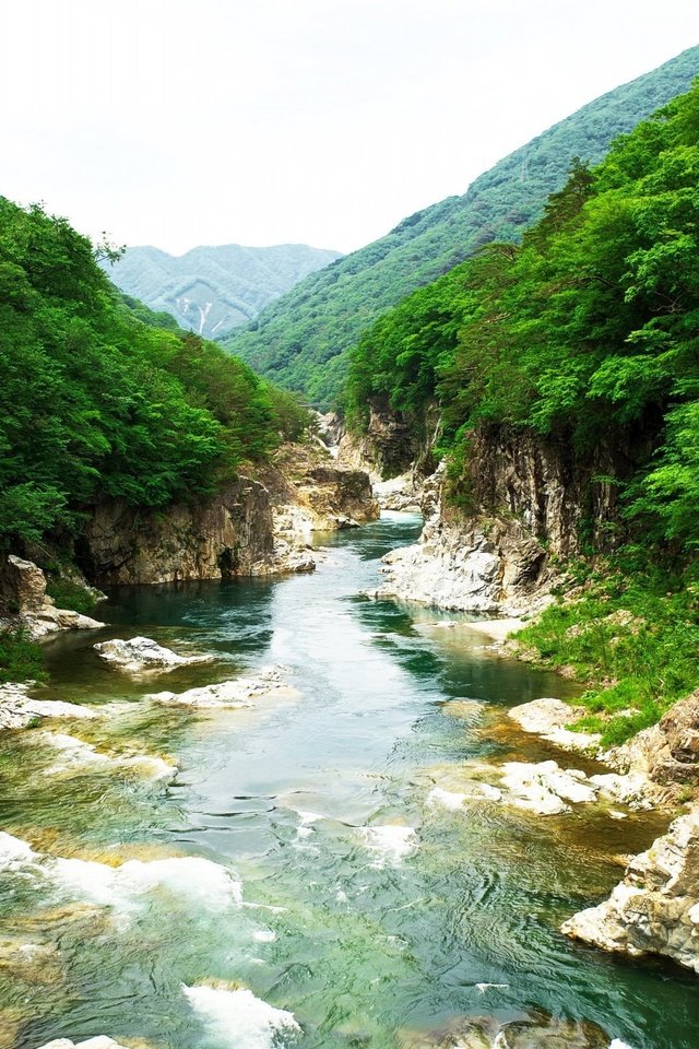 Обои река, скалы, природа, камни, растения, япония, river, rocks, nature, stones, plants, japan разрешение 2560x1600 Загрузить