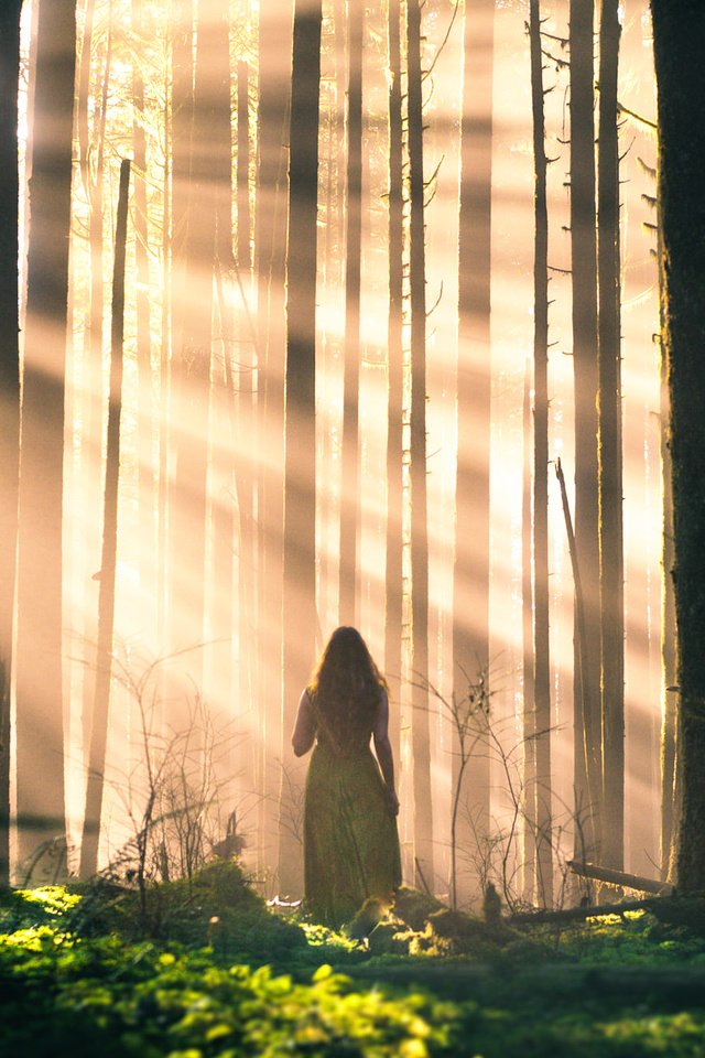 Обои свет, деревья, лес, девушка, лучи, стволы, lizzy gadd, light, trees, forest, girl, rays, trunks разрешение 2000x1333 Загрузить