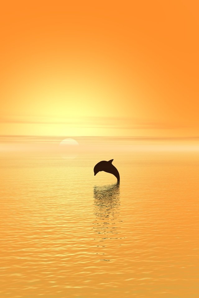 Обои закат, море, прыжок, дельфин, sunset, sea, jump, dolphin разрешение 3840x2560 Загрузить