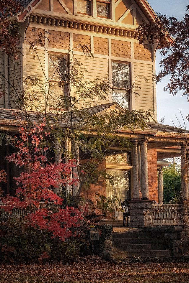 Обои деревья, осень, сад, дом, старый дом, фасад, blair turrell, trees, autumn, garden, house, old house, facade разрешение 3840x2400 Загрузить