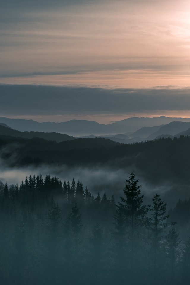 Обои деревья, горы, лес, пейзаж, туман, норвегия, trees, mountains, forest, landscape, fog, norway разрешение 4903x3369 Загрузить