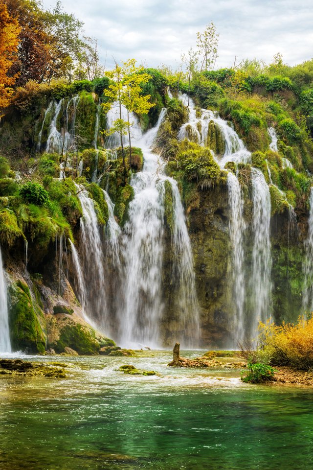 Обои деревья, осень, хорватия, водопады, плитвицкие озёра, национальный парк, trees, autumn, croatia, waterfalls, plitvice lakes, national park разрешение 4000x3000 Загрузить