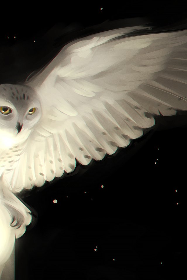 Обои арт, сова, звезды, крылья, птица, белая сова, белая сова-, art, owl, stars, wings, bird, white owl, white owl- разрешение 3425x1926 Загрузить