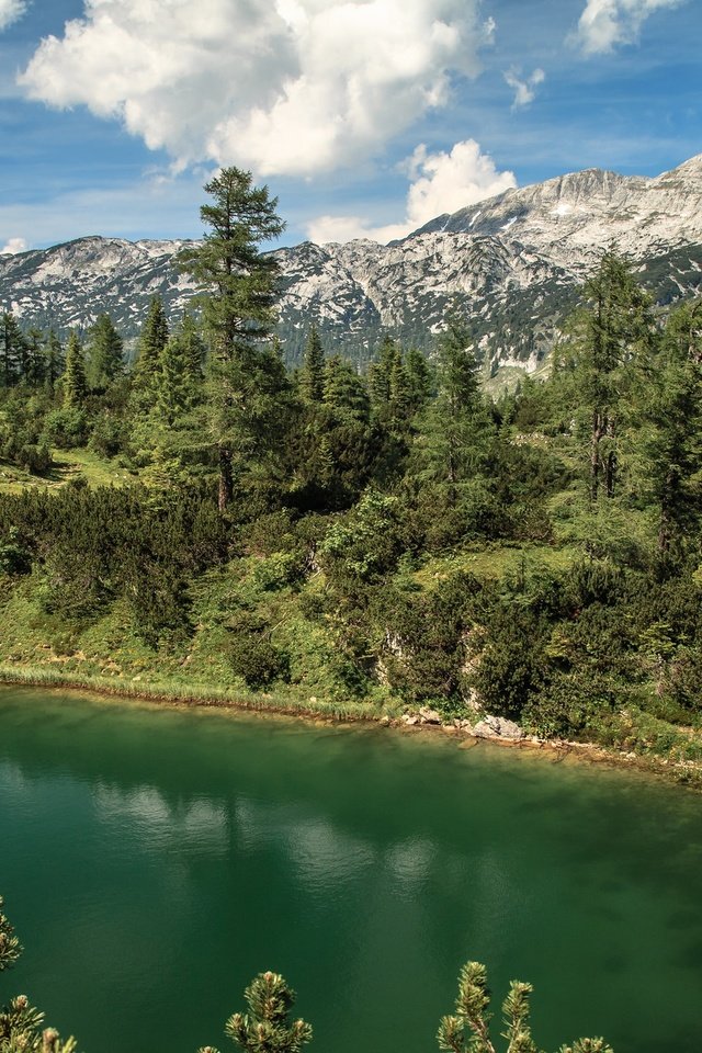 Обои озеро, горы, лес, австрия, альпы, штирия, долина тауплицальм, lake, mountains, forest, austria, alps, styria, valley tauplitzalm разрешение 2048x1302 Загрузить