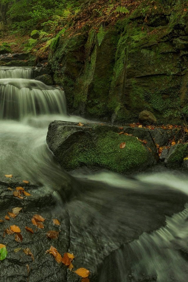 Обои скалы, камни, листья, ручей, водопад, осень, мох, каскад, rocks, stones, leaves, stream, waterfall, autumn, moss, cascade разрешение 2048x1273 Загрузить