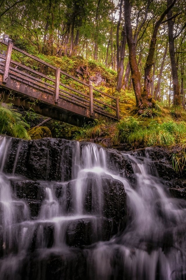 Обои скалы, лес, мост, водопад, уэльс, истрадфеллт, rocks, forest, bridge, waterfall, wales, ystradfellte разрешение 2048x1152 Загрузить