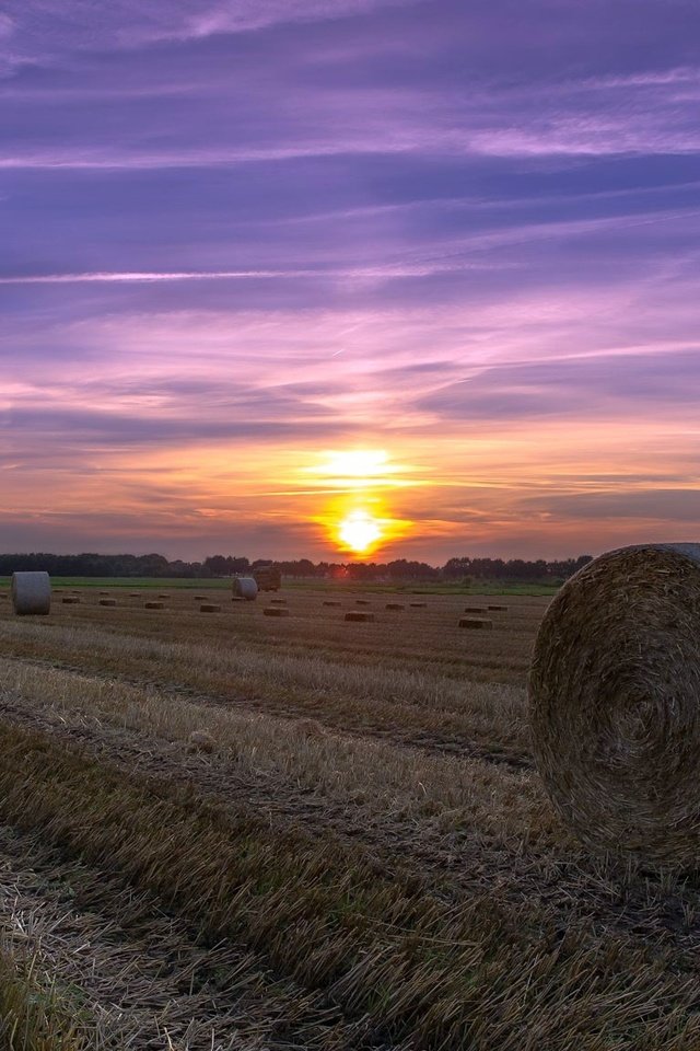 Обои небо, облака, закат, поле, сено, лето, тюки, рулоны, the sky, clouds, sunset, field, hay, summer, bales, rolls разрешение 2048x1152 Загрузить