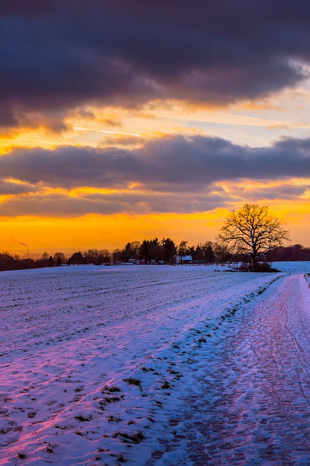 Обои небо, облака, снег, природа, закат, зима, пейзаж, markus landsmann, the sky, clouds, snow, nature, sunset, winter, landscape разрешение 1920x1200 Загрузить