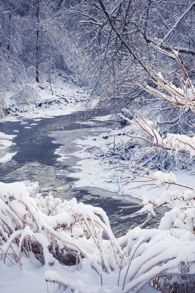 Обои деревья, река, снег, природа, лес, зима, пейзаж, trees, river, snow, nature, forest, winter, landscape разрешение 2880x1800 Загрузить