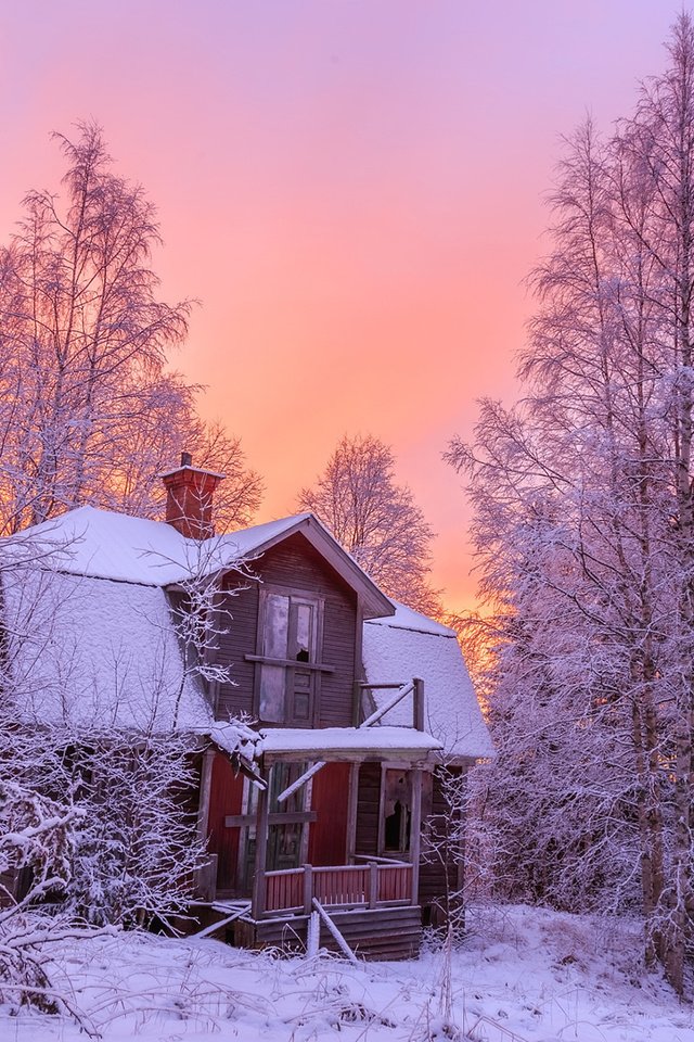 Обои деревья, снег, природа, лес, зима, дом, geert weggen, trees, snow, nature, forest, winter, house разрешение 1920x1200 Загрузить