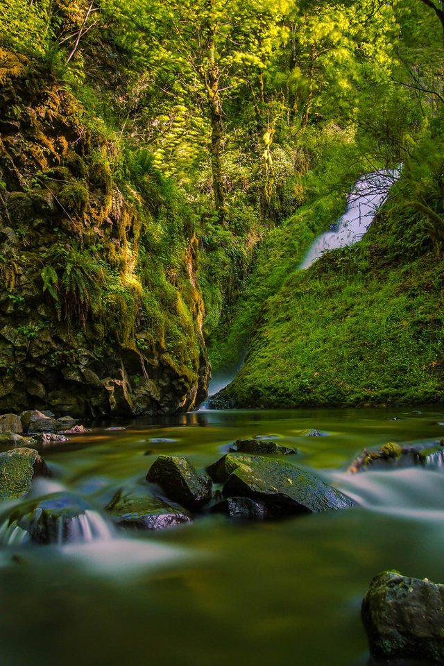Обои река, скалы, природа, лес, водопад, river, rocks, nature, forest, waterfall разрешение 1920x1200 Загрузить