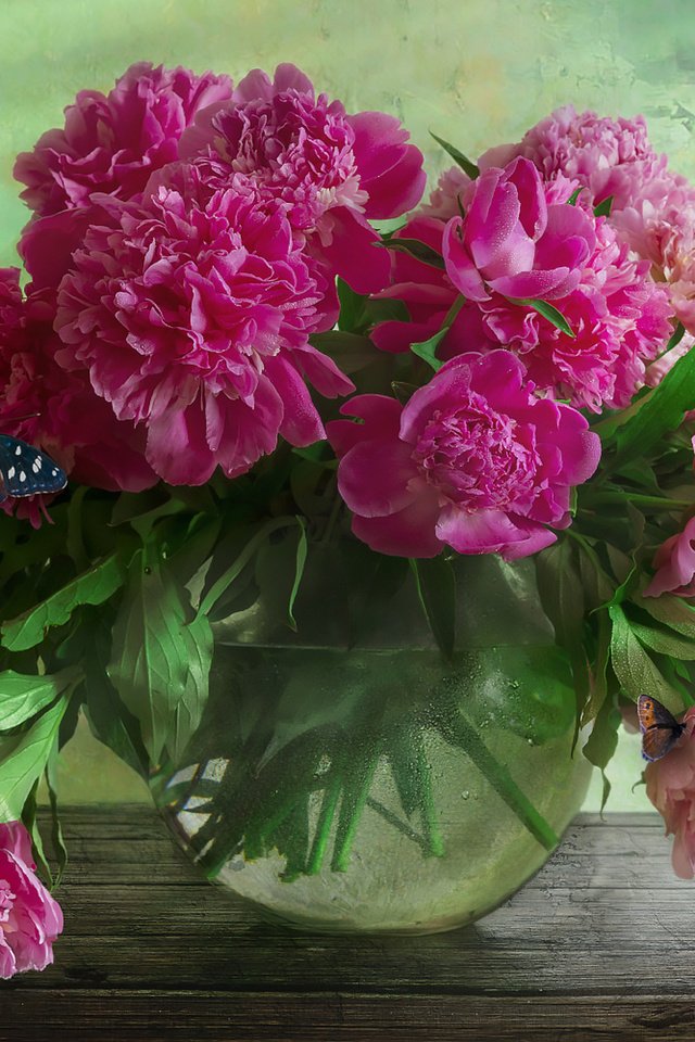 Обои цветы, бабочка, ваза, аквариум, столик, пионы, flowers, butterfly, vase, aquarium, table, peonies разрешение 1920x1281 Загрузить